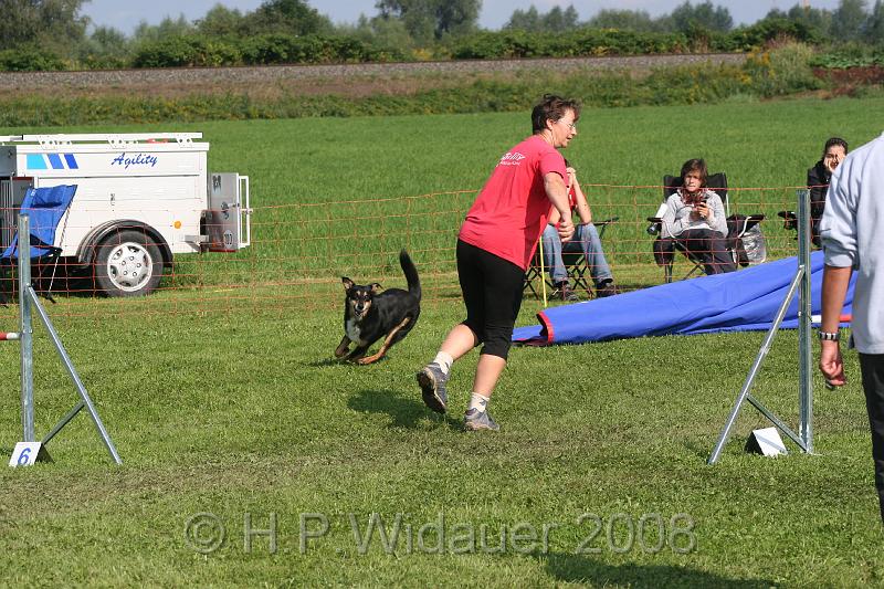 jubil.lusten. 125.jpg